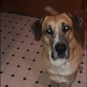 Meet your Posher, Taylormae